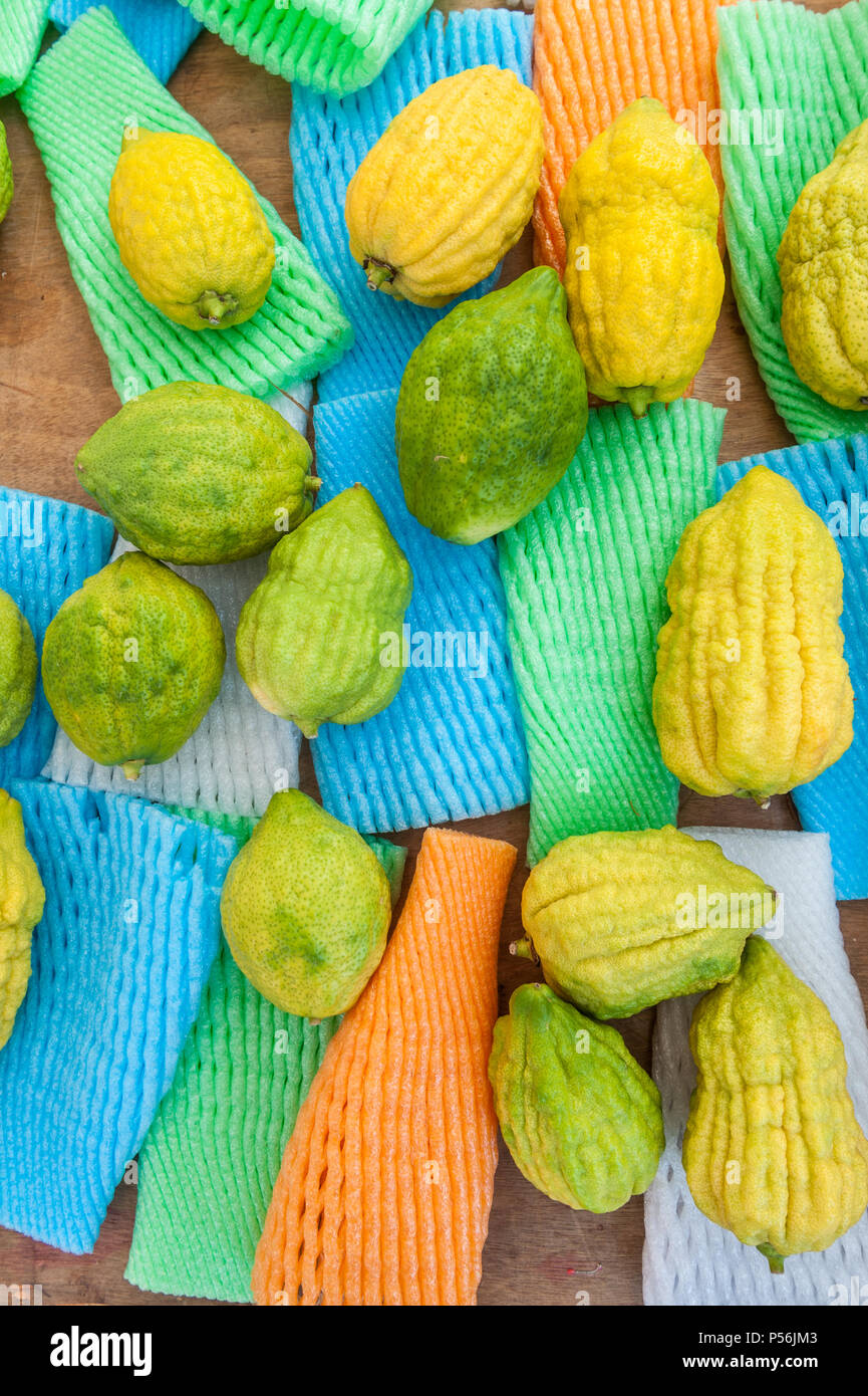 Israele, Tel Aviv - 16 Ottobre 2016: Etrog venduti al mercato sukkot su Kikar Rabin square Foto Stock
