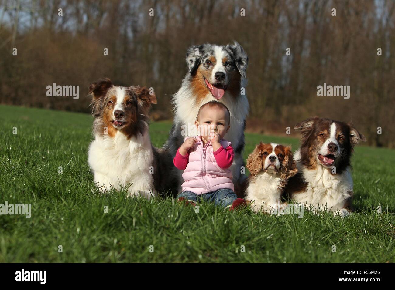 bambini e cani Foto Stock