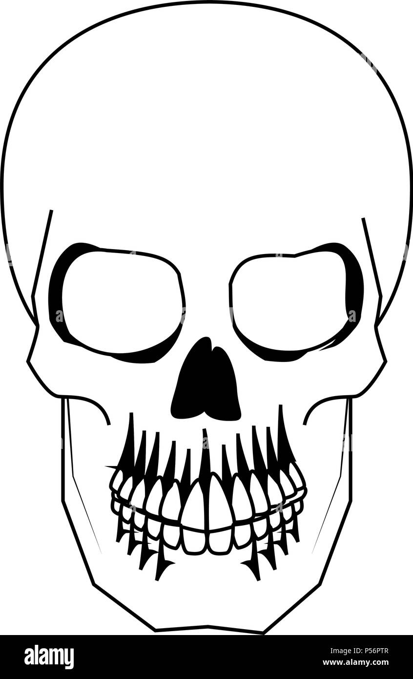 Cranio Umano Disegno In Bianco E Nero Illustrazione