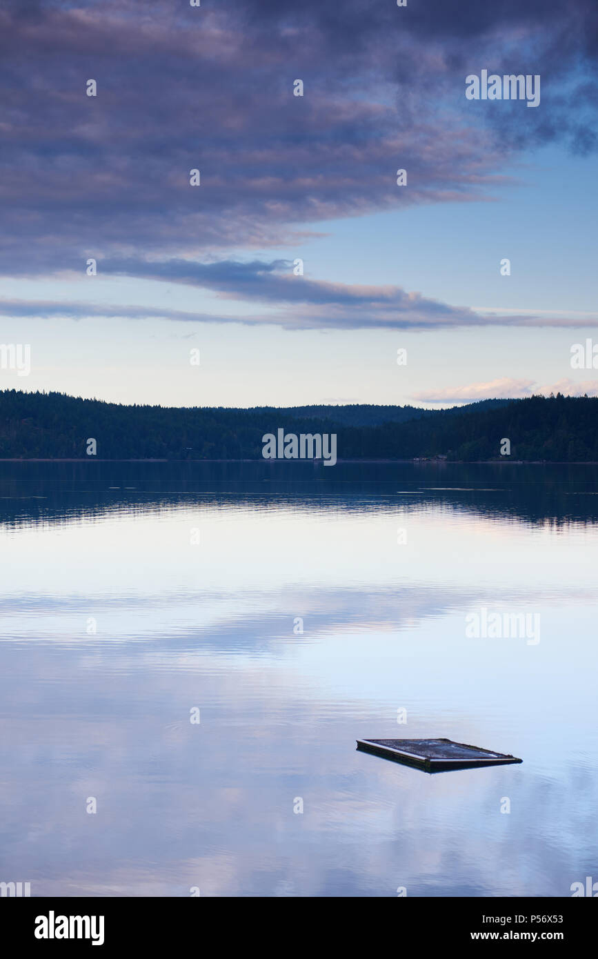 Una piscina galleggiante cavalca le acque calme della cappa Canal, Washington, al tramonto, orientamento verticale Foto Stock