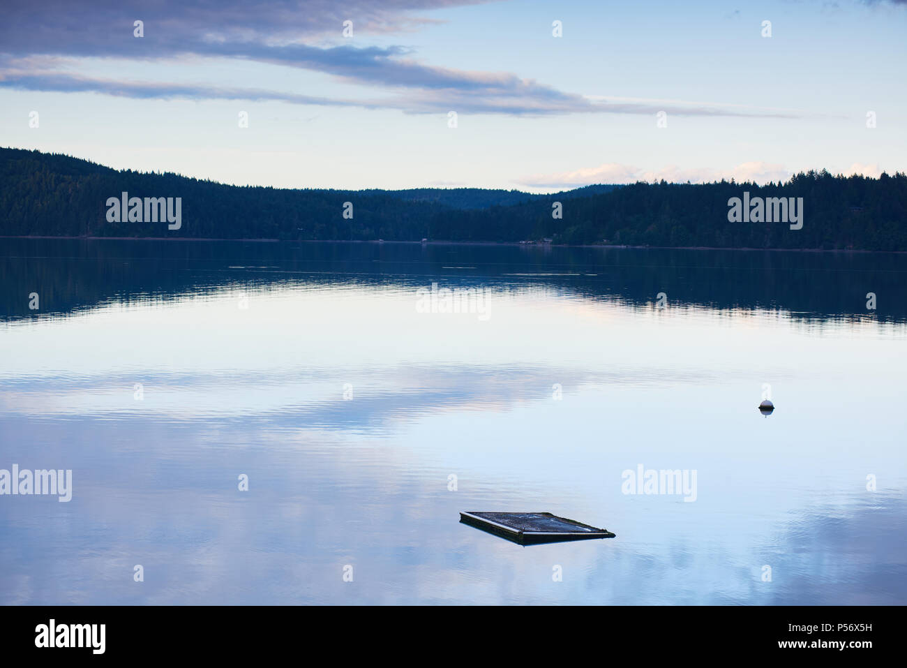 Una piscina galleggiante cavalca le acque riflettente del cofano Canal, Washington, vicino al tramonto. Foto Stock