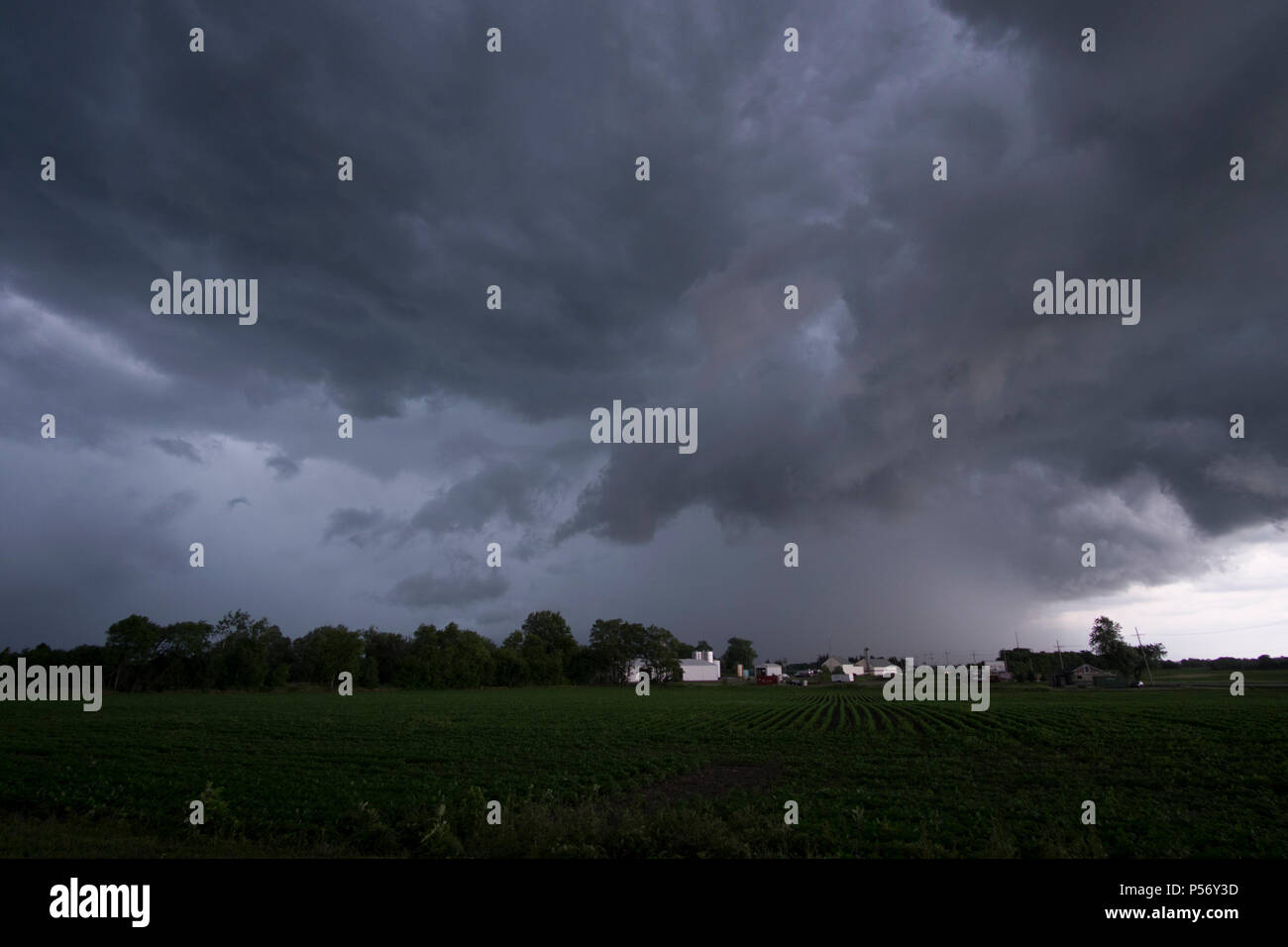 Tempesta estiva avvicinando i terreni agricoli e i campi di fagioli nel nord dell'Illinois. Foto Stock