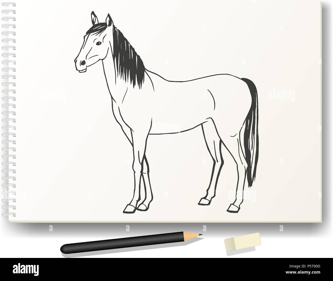 Cavallo disegnato a mano a matita su album A4 Illustrazione Vettoriale
