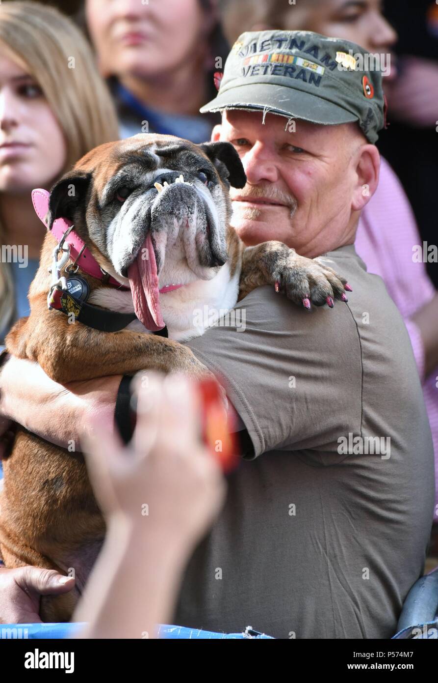 New York, NY, STATI UNITI D'AMERICA. Il 25 giugno, 2018. Zsa Zsa, i mondi più brutto cane, appare sulla Today Show. Zsa Zsa il 9 anno vecchio inglese Bull cane e i suoi proprietari, Megan e Jesse Brainard battere 13 altri concorrenti per portare a casa un trofeo e un $1.500 verificare in corrispondenza del sabato della concorrenza. fuori e circa per celebrità Candids - MON, New York, NY Giugno 25, 2018. Credito: Derek Storm/Everett raccolta/Alamy Live News Foto Stock New York, NY, STATI UNITI D'AMERICA. Il 25 giugno, 2018. Zsa Zsa, i mondi più brutto cane, appare sulla Today Show. Zsa Zsa il 9 anno vecchio inglese Bull cane e i suoi proprietari, Megan e Jesse Brainard battere 13 altri concorrenti per portare a casa un trofeo e un $1.500 verificare in corrispondenza del sabato della concorrenza. fuori e circa per celebrità Candids - MON, New York, NY Giugno 25, 2018. Credito: Derek Storm/Everett raccolta/Alamy Live News Foto Stock