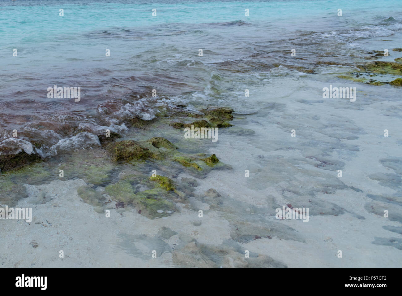 Spiaggia tropicale a Laguna in Maldive Foto Stock