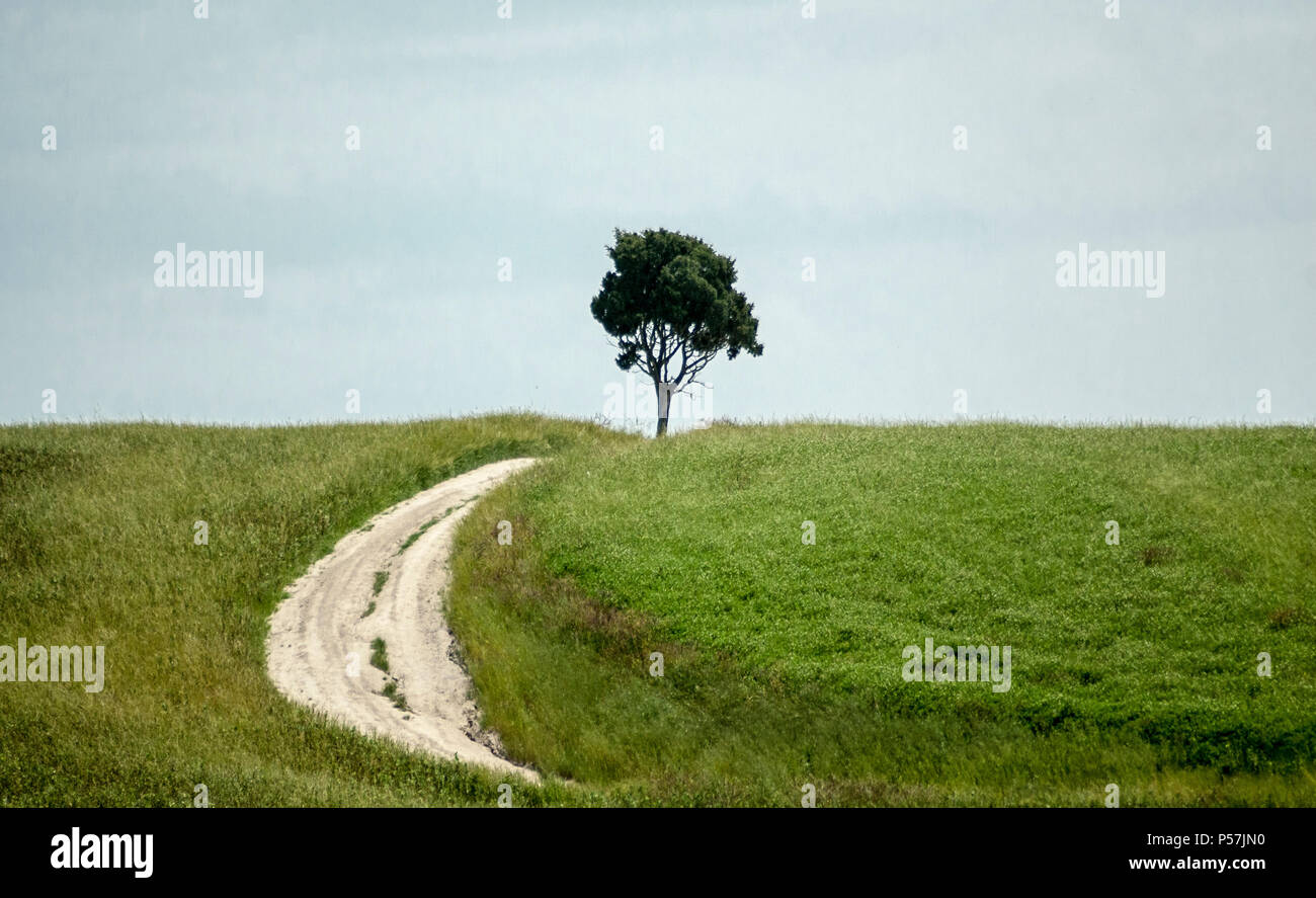 Lo splendido paesaggio della Toscana,l'Italia,2018. Foto Stock