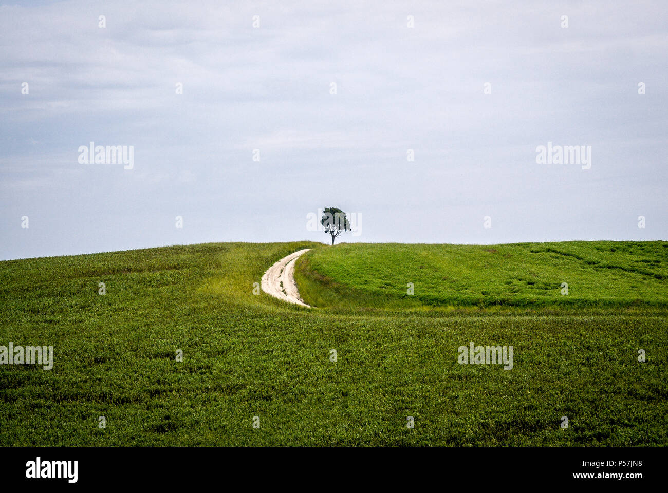Lo splendido paesaggio della Toscana,l'Italia,2018. Foto Stock