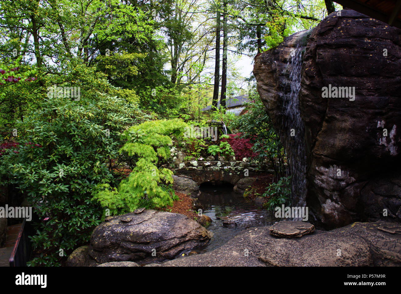 Natura - USA - TN - GA - Smoky Mountains & Rock City (Lookout Mountain) Foto Stock