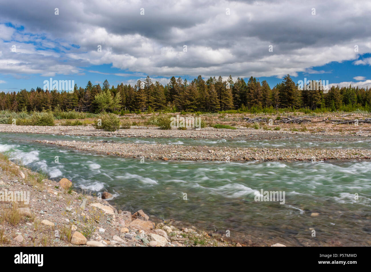 Fiume Swiftcurrent in molti Glacier zona di valle del Glacier National Park in Montana. Foto Stock