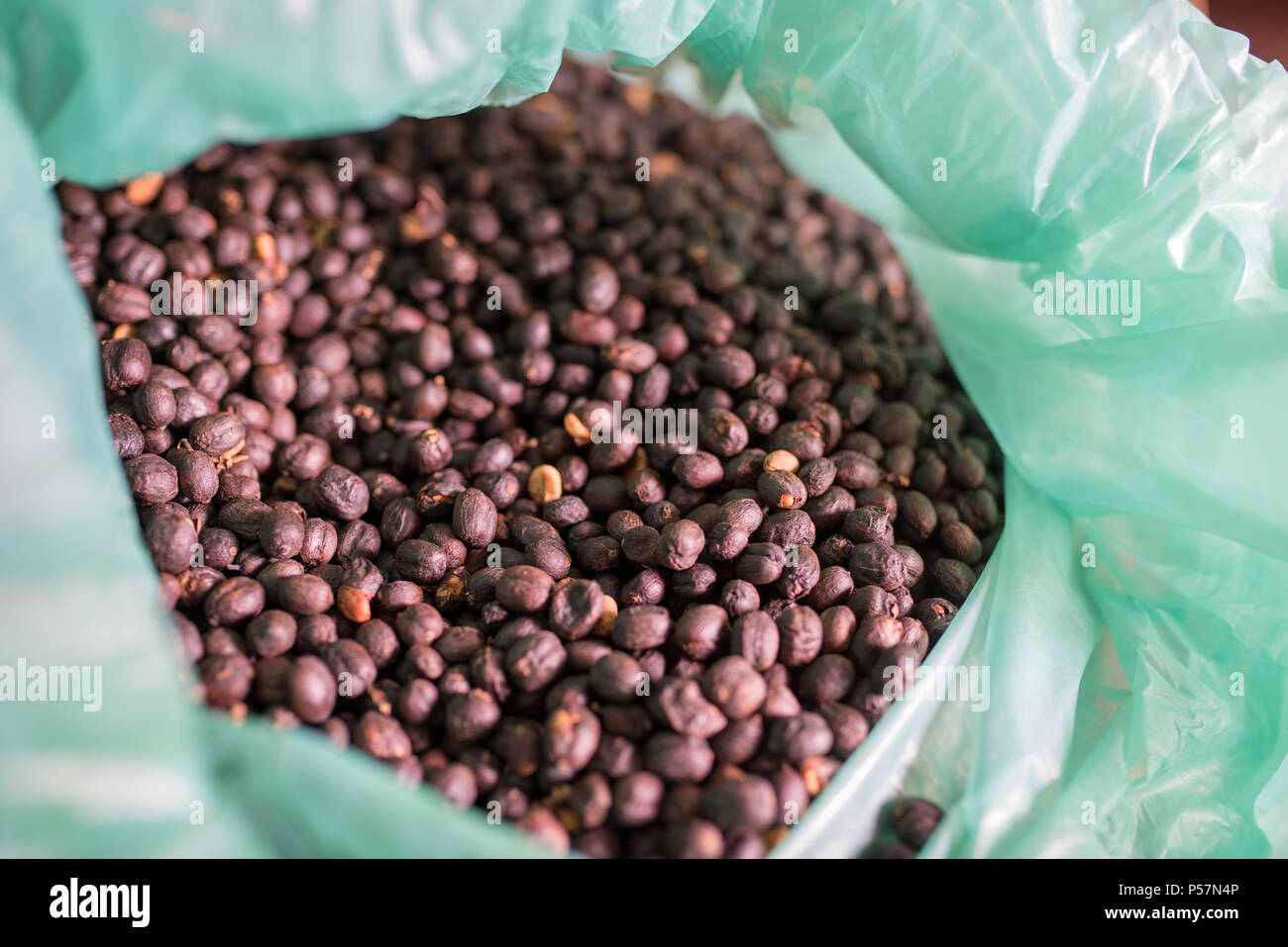 Asciugato i chicchi di caffè nella procedura di miele Foto Stock