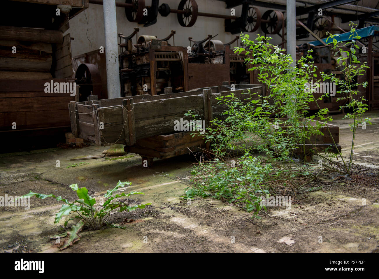 Il tono negligente opere di colorante o mulini di tono come è altrimenti noto. Vicino alla città di Wellington, Somerset. Immagine presa Luglio 2013 Foto Stock