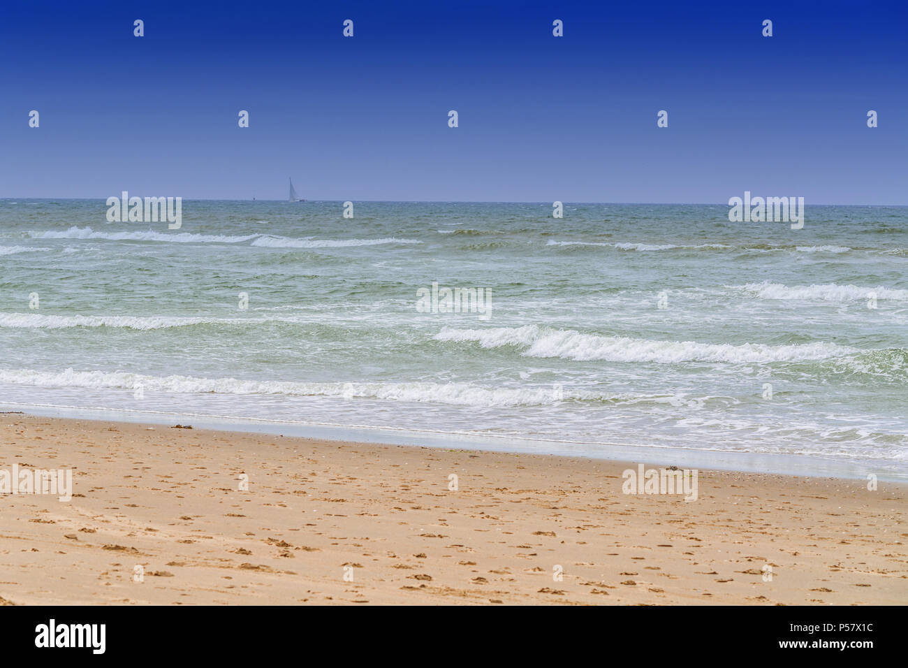 Paesaggio protetto, dune sulla spiaggia di Holland sullo sfondo azzurro del cielo. Foto Stock