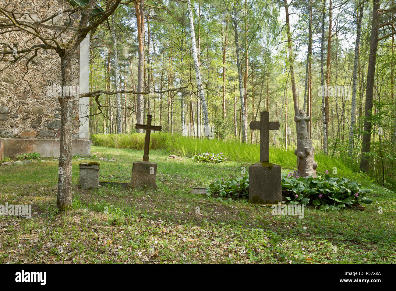 Cimitero Vecchio in Lettonia Foto Stock