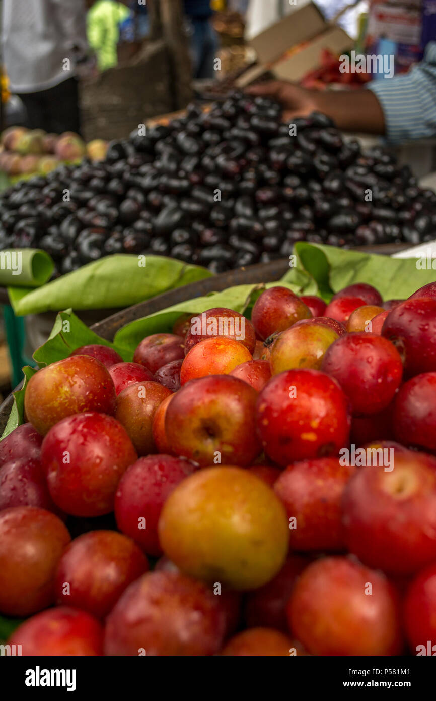 Java susina e mela per la vendita in India Foto Stock