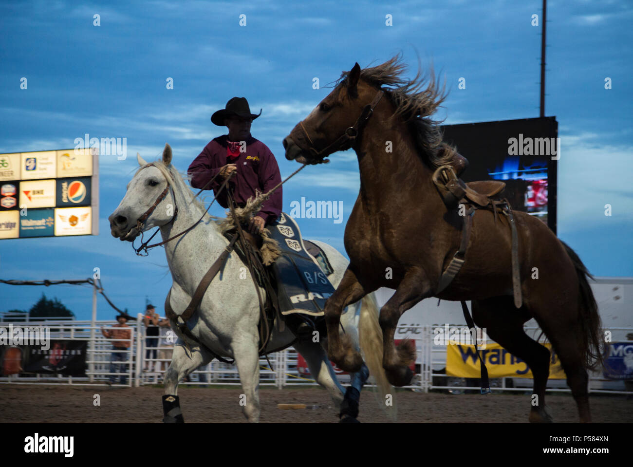 Un cowboy insegue giù a perdere il cavallo durante i giorni Nebraskaland Rodeo in North Platte, NE IL 16 GIUGNO 2018. Foto Stock