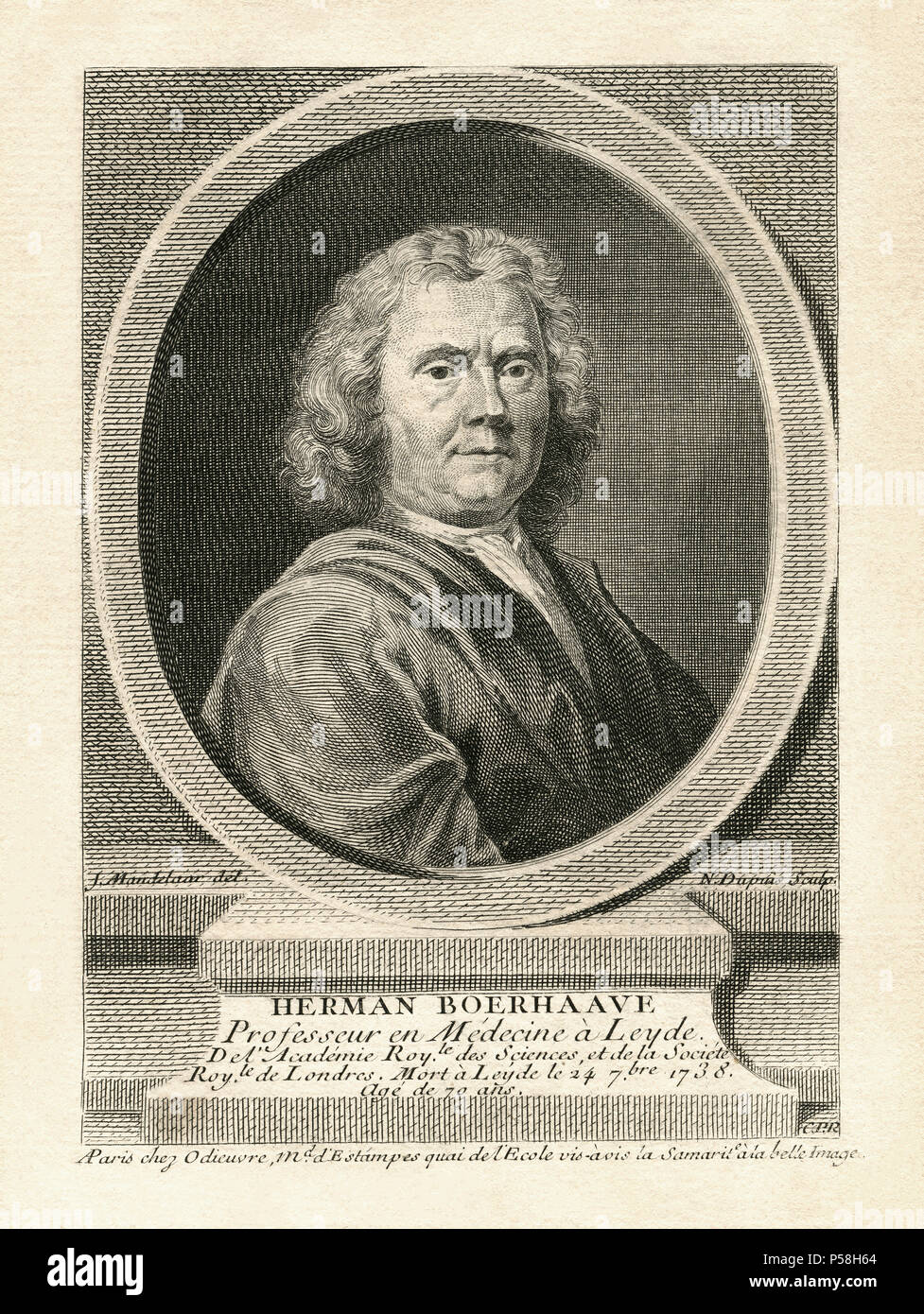 Herman Boerhaave (1668-1738), botanico Olandese, farmacia, umanista cristiana e medico, la testa e le spalle l'incisione Foto Stock