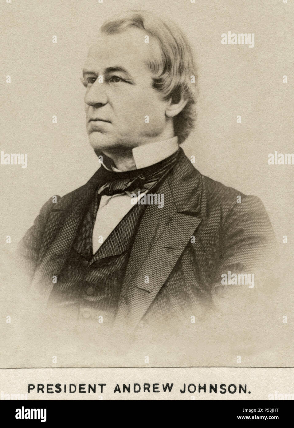 Andrew Johnson (1808-75), il diciassettesimo Presidente degli Stati Uniti, Ritratto, 1860 Foto Stock