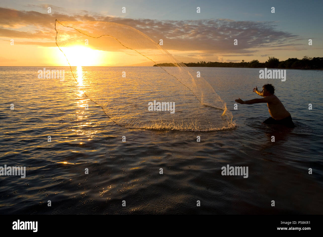 Pescatore getta net al tramonto a Olowalu, Maui, Hawaii. Foto Stock