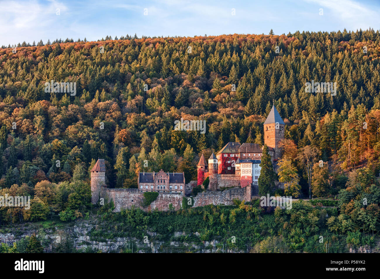 Castello Zwingenberg nella foresta di autunno Foto Stock