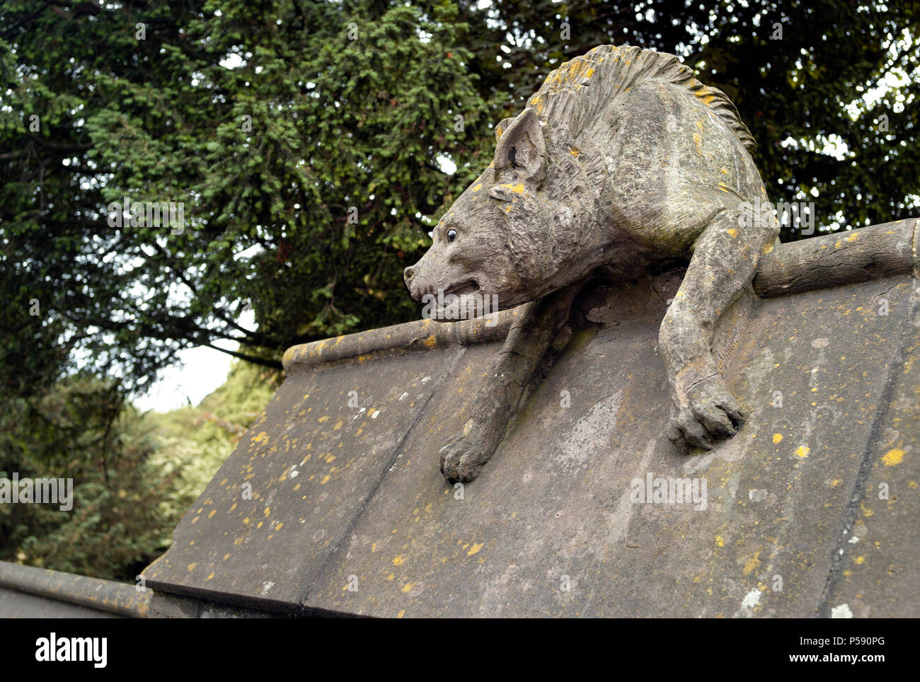 La iena, la parete animale, Castello di Cardiff, Galles Foto Stock