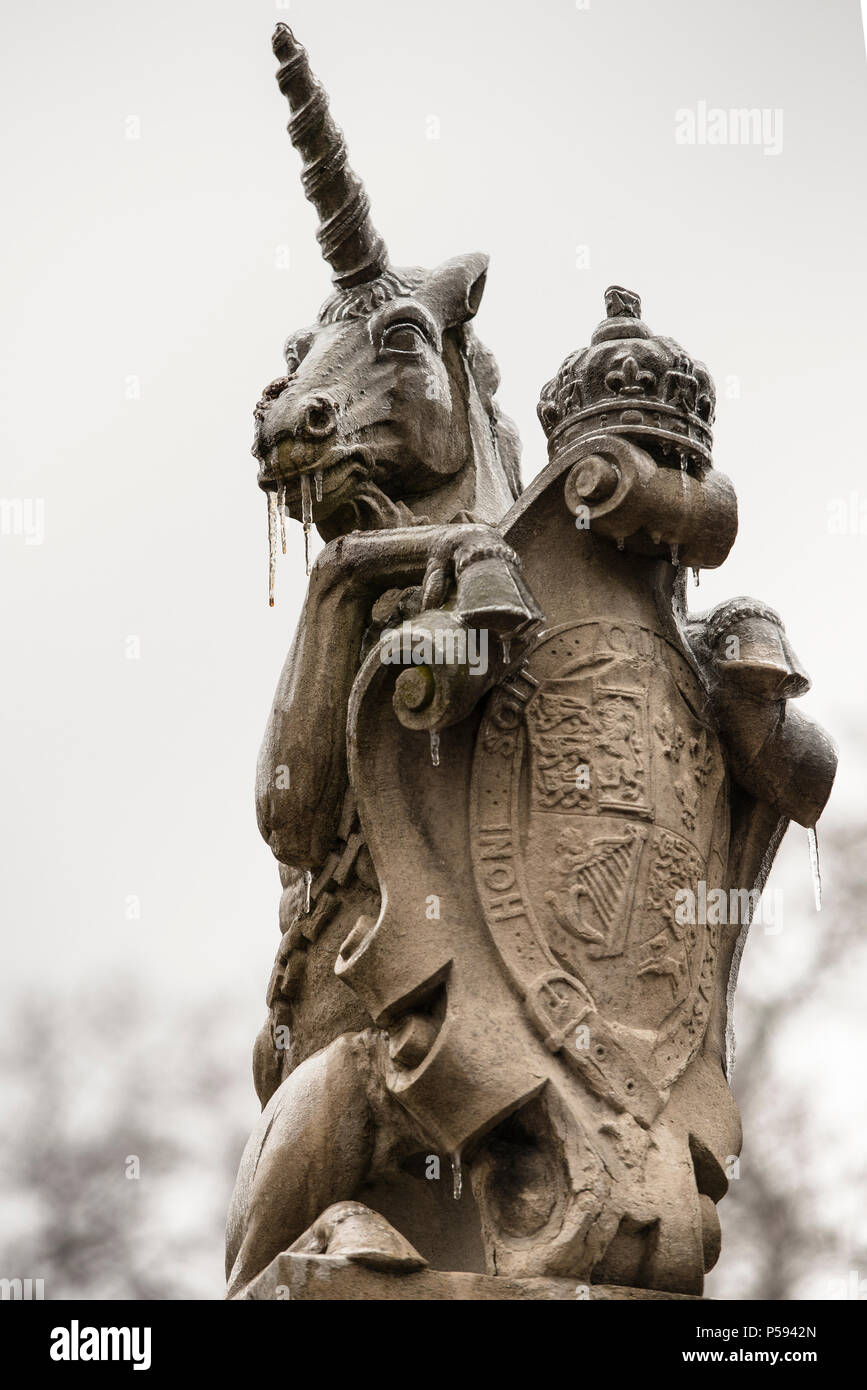 Primo piano dello Scottish Unicorn tenendo premuto il royal scudo, in cima al Palazzo dei Governatori Gate. Inverno ghiaccioli goccia dal freddo scultura in pietra. Foto Stock