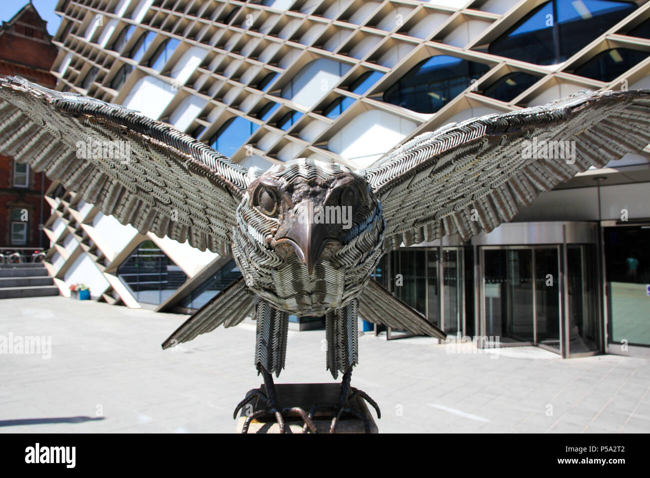 Università di Sheffield, Sheffield South Yorkshire, Regno Unito. Il 26 giugno 2018. "Allen' il falco pellegrino scultura fatta di 17.000 chiavi a brugola è ora al di fuori dell'Università di Sheffield di Diamante costruzione realizzata mediante la lavorazione dei metalli, artista Jason Heppenstall. Credito: Alamy Live News Foto Stock