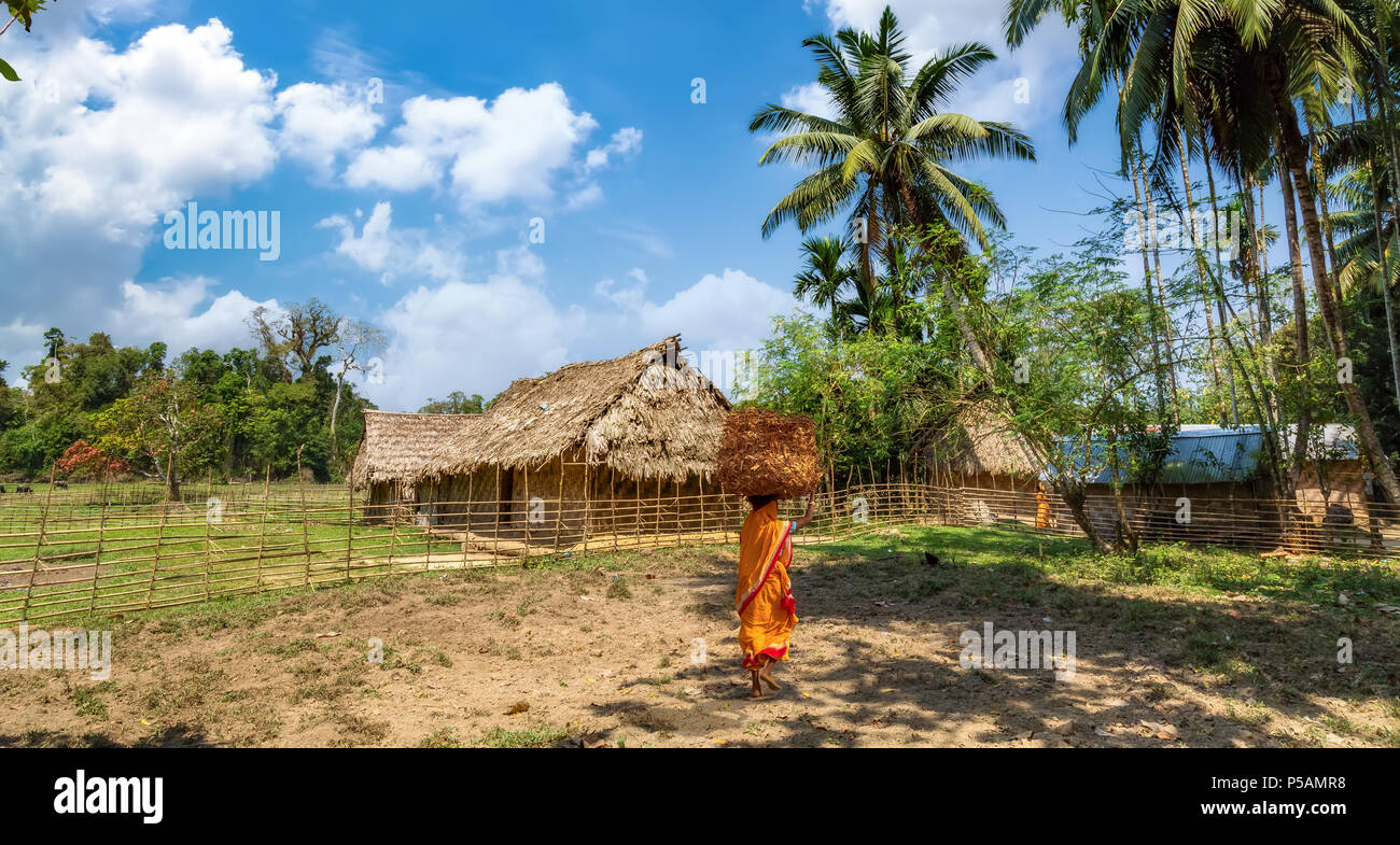 Scenic India rurale scena del villaggio con donna tribale che porta foglie secche per il villaggio in isola Baratang Andaman Foto Stock