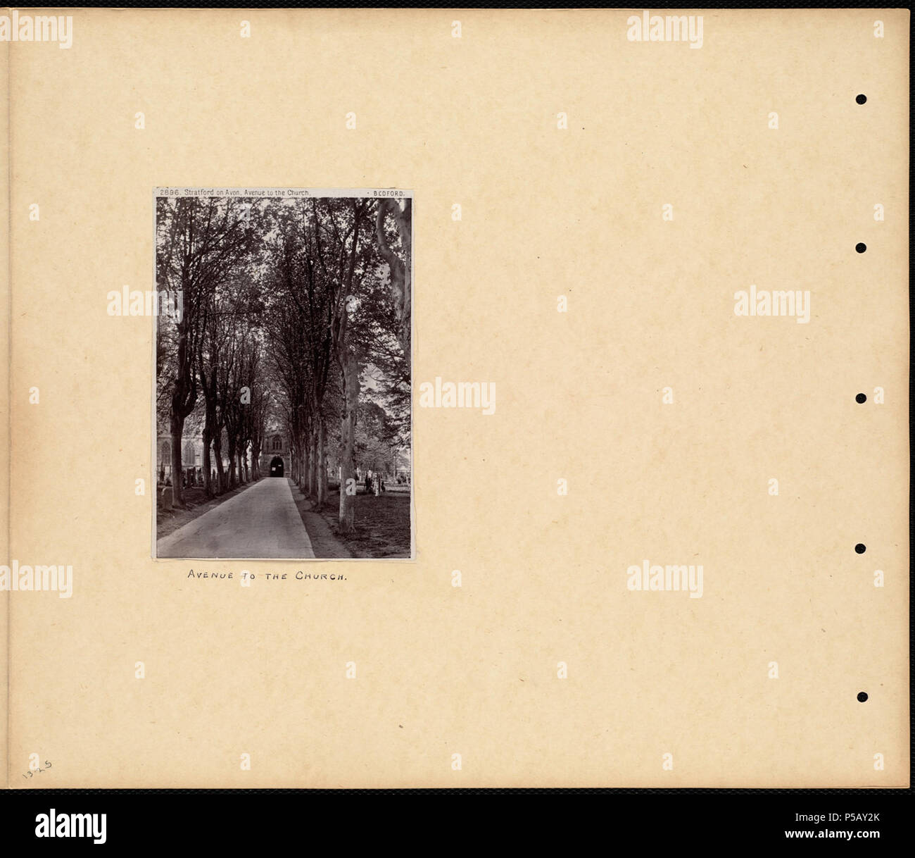 N/A. Inglese: BPLDC N°: 08 04 000080 Titolo pagina: Avenue alla Chiesa raccolta: William Vaughn Tupper Scrapbook Album di raccolta: Volume 13: Chester. Stratford su Avon. Warwick. York. : Kenilworth. Blenheim. Fountains Abbey. Chiamata n.: 4098B.104 v13 (p. 25) creatore: Tupper, William Vaughn fotografo: Bedford, Francesco, 1816-1894 Genere: fotodiari; albume stampe misura: 1 stampa fotografica montata su pagina : albume ; pagina 33 x 39 cm. Descrizione: Scrapbook pagina contiene una fotografia di un percorso attraverso un cimitero, che conduce alla porta della chiesa della Trinità. Note: Descrizione pagina supplie Foto Stock