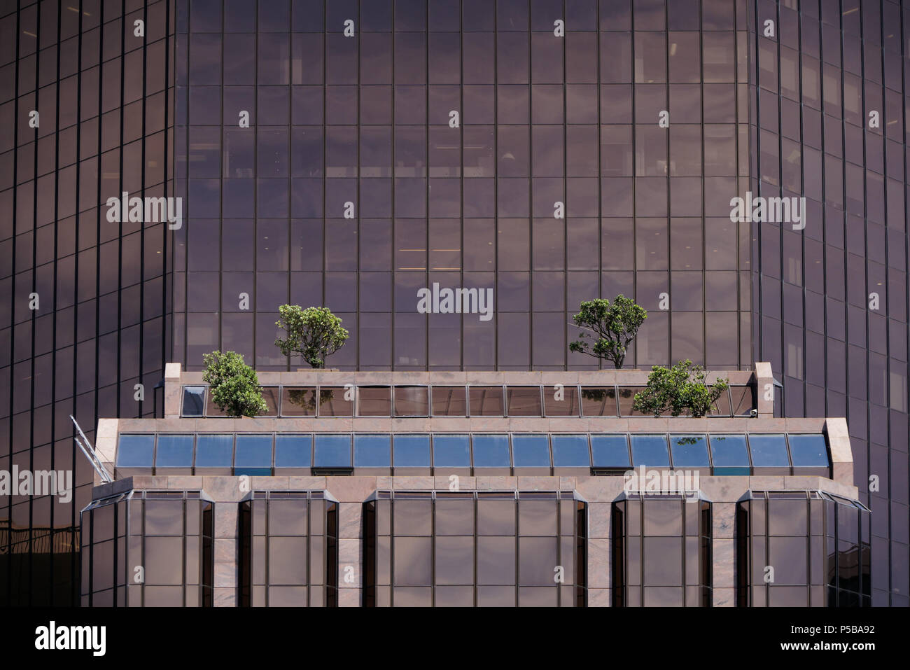 Alto edificio con finestre. Foto Stock