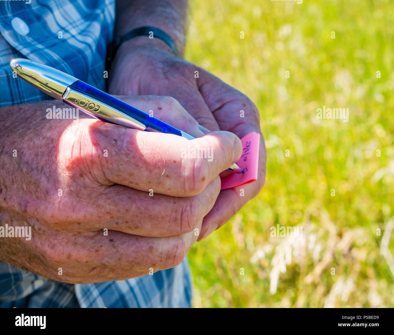 Stretta di mano d'uomo scrivere con una penna per la data e firmare un geocache giornale di bordo in campagna, Scotland, Regno Unito Foto Stock