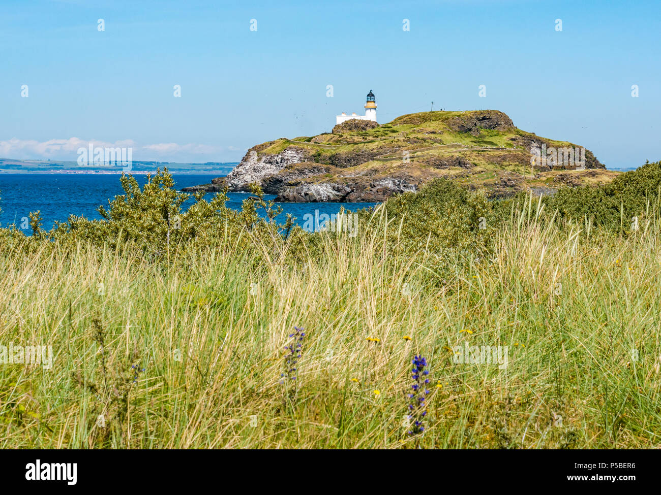 Fidra faro e Isola, Firth of Forth, Scozia, sulla giornata estiva con cielo blu Foto Stock