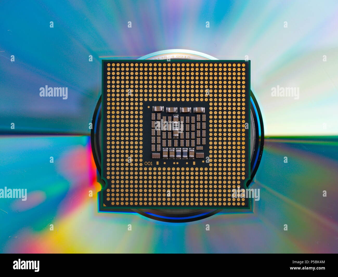 CPU vista dal collegamento perno lato. Aggiornare il nuovo microprocessore per computer più veloce. Foto Stock