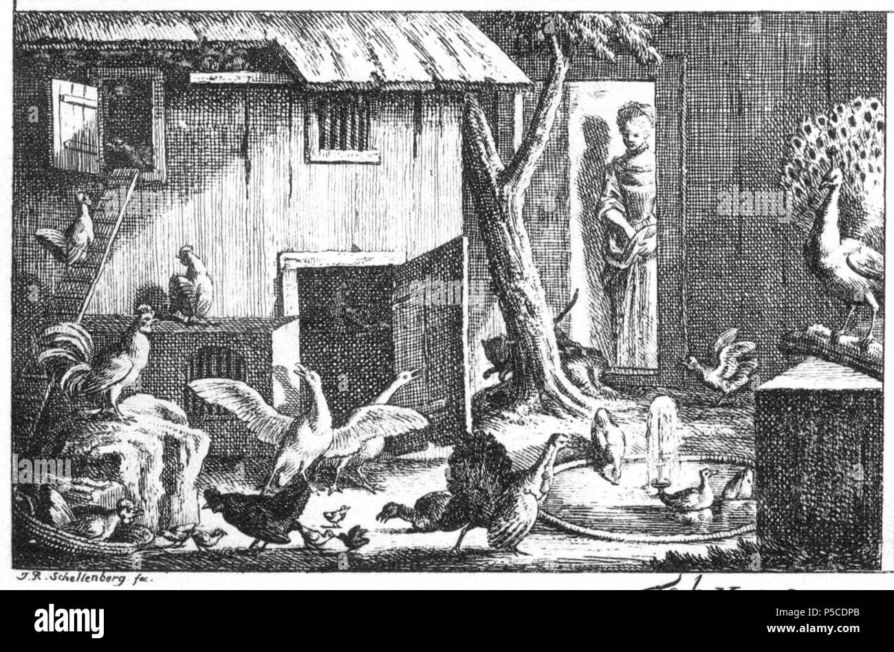 N/A. Scheda. X. Nr. 2. Von Tieren. c) Allerlei Federvieh. Der prächtige Pfau. Die Enten schnatternden. Der Springbrunnen. Ein kalekutischer Hahn und seine Henne. Die Gänse. Die mütterliche Gluckhenne. Der wachsame und mutige Hahn. Das Gitterwerk. Die Hühnertreppe. Die von der Katze verfolgte Maus. Beschreibung (lt. Quelle) . 1774. Johann Rudolph Schellenberg (1740-1806) nomi alternativi Johann Rudolf Schellenburg; Johann Rudolf Schellenberg; Johann Rudolf Scholtemberge; Schellenberg Descrizione entomologo svizzero, illustrator, pittore, artista e botanico, Data di nascita e morte 4 Gennaio 1 Foto Stock