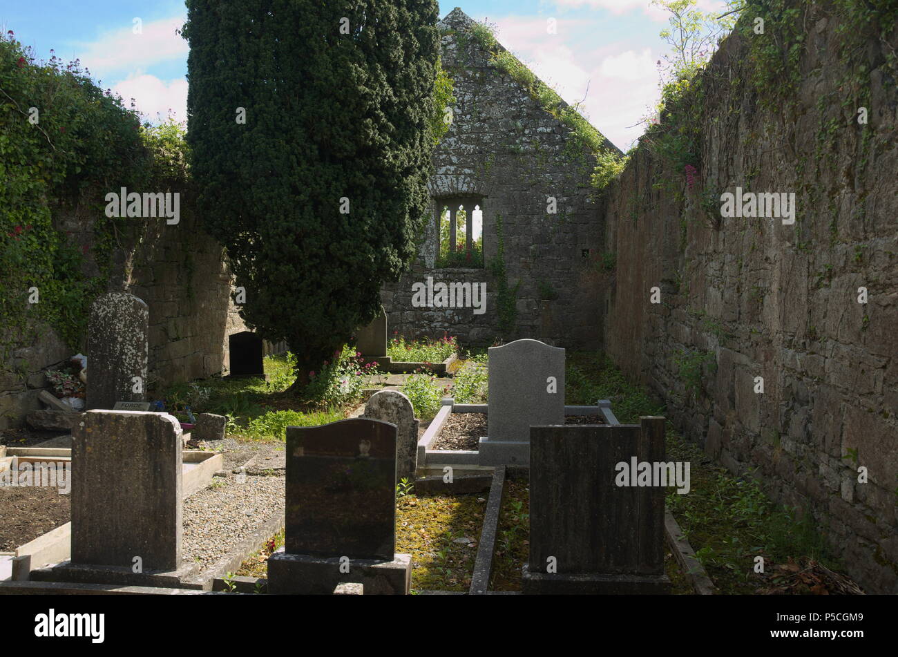 Kiltartan cimitero e Chiesa in rovina, Gort Foto Stock