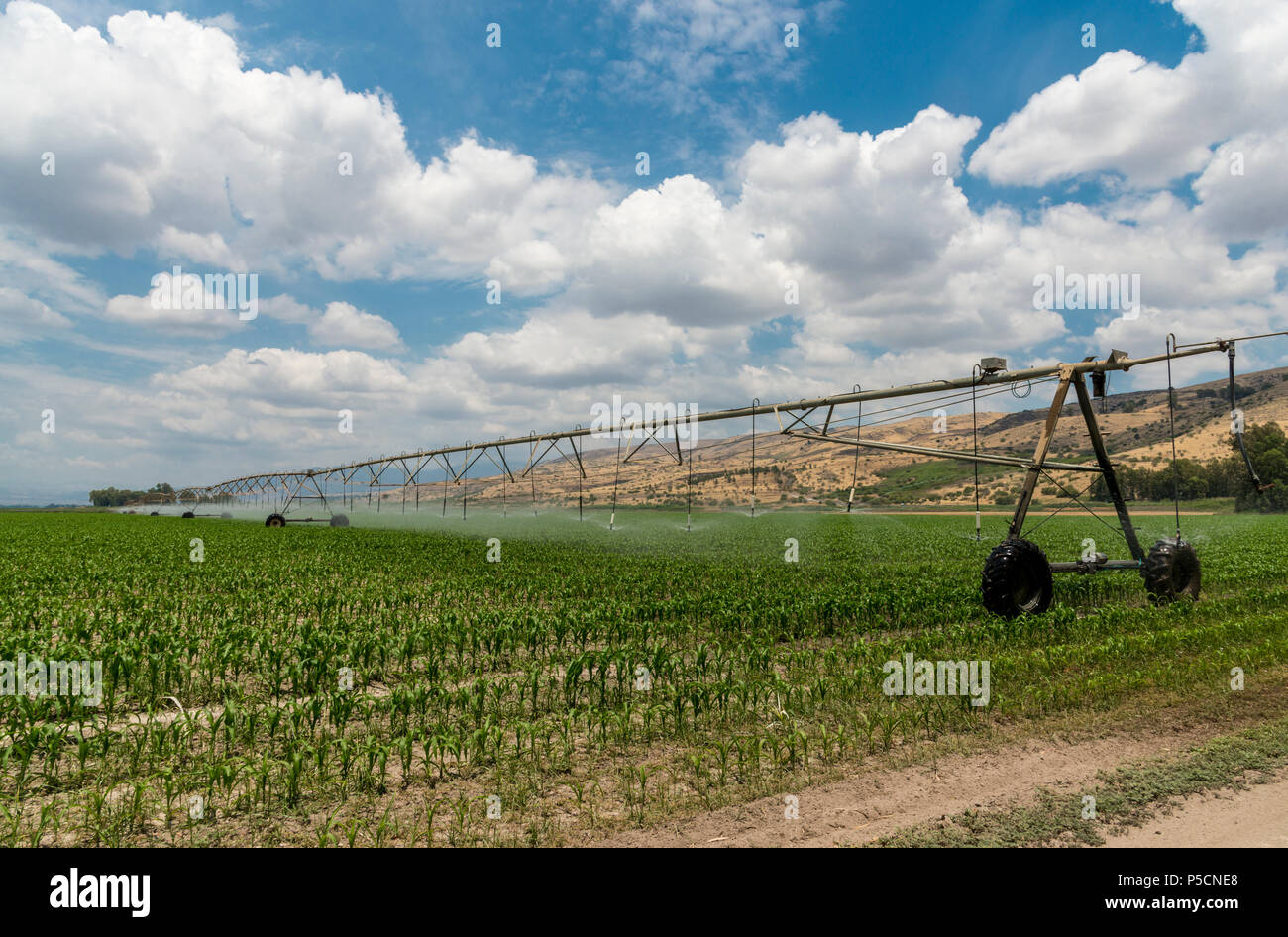 Movimento laterale del sistema di irrigazione Foto Stock