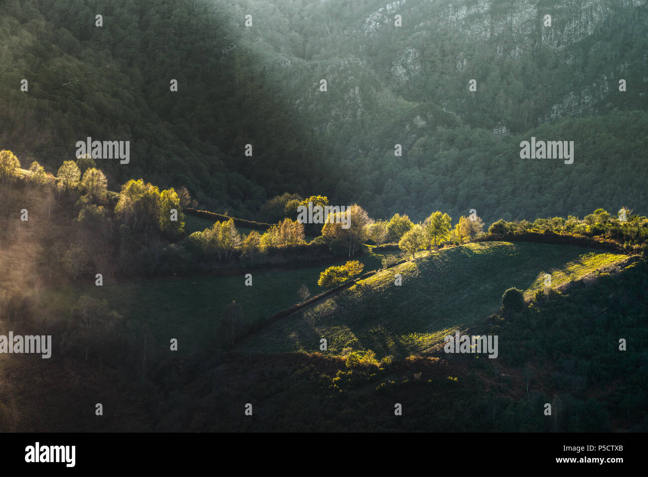 Luces de Otoño bañan los bosques y montañas de Triacastela, por donde transcurre El Camino de Santiago Foto Stock