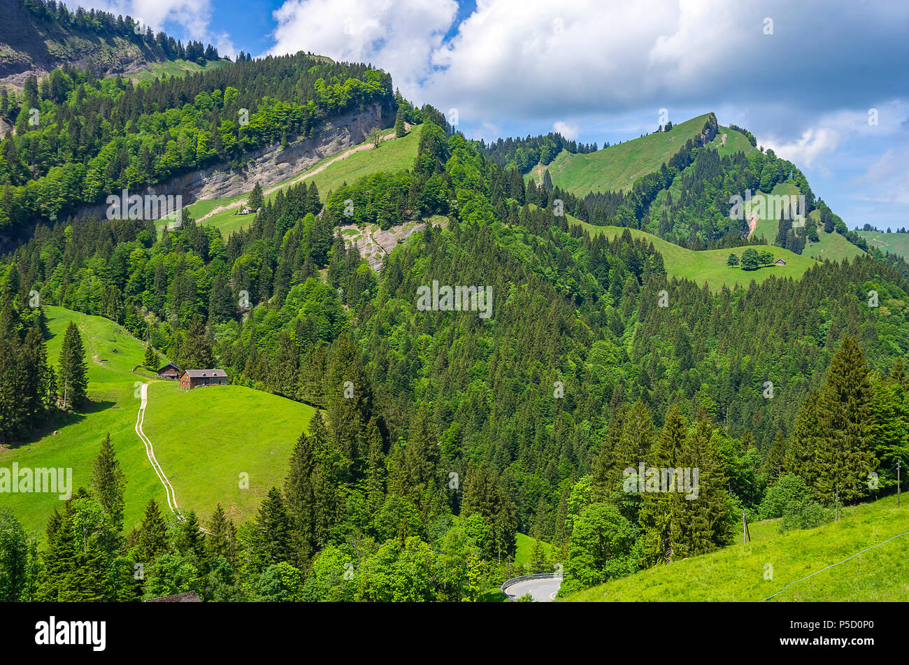 Paesaggio di montagna delle Alpi svizzere nei pressi di Urnäsch e schawagalp, Canton Appenzello Esterno, Svizzera. Foto Stock