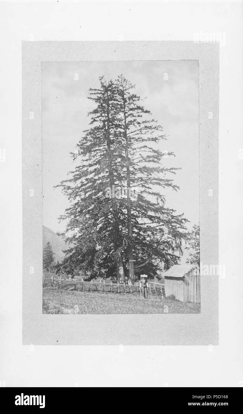 N/A. Français : Livre: 'souvenir des Bains du Gurnigel', Gurnigel, Suisse . 1860. M. Vollenweider & Fils, Berna 309 CH-NB - Souvenir des Bains du Gurnigel - nbdig-18288 - pagina 014 Foto Stock