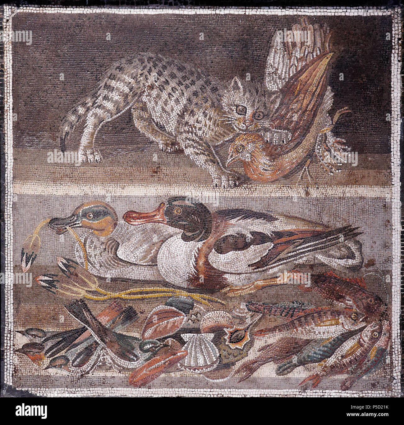 N/A. Inglese: Livello superiore : gatto con una pernice nella sua bocca; lower tier: anatre (sulla sinistra un maschio Eurasian Teal, sulla destra un comune Shelduck), uccelli, pesci e crostacei. Mosaico romano. Français : Registre supérieur : chat tenant une perdrix dans la gueule ; registre inférieur : canards (à gauche onu mâle de Sarcelle d'hiver, à droite onu Tadorne de Belon), oiseaux, coquillages, Poissons. Mosaïque romaine. Italiano: Registro superiore: gatto che azzanna onu uccello; registro inferiore: anatre, uccelli, pesce e conchiglie. Mosaico romano. . Impero Romano. N/A 282 uccelli gatto uomo Napoli Inv9993 Foto Stock