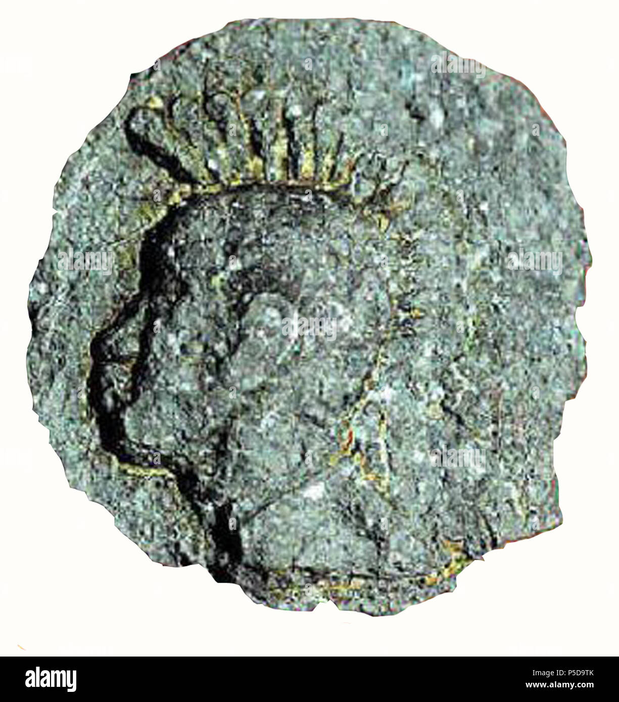 N/A. Inglese: Un indiano moneta d'argento (c. Il primo secolo a.e.v.) raffigurante il locale Chera righello indossando romano tipo di casco con setole. c. I secolo A.C. Sconosciuto 365 moneta di un righello sconosciuto Foto Stock