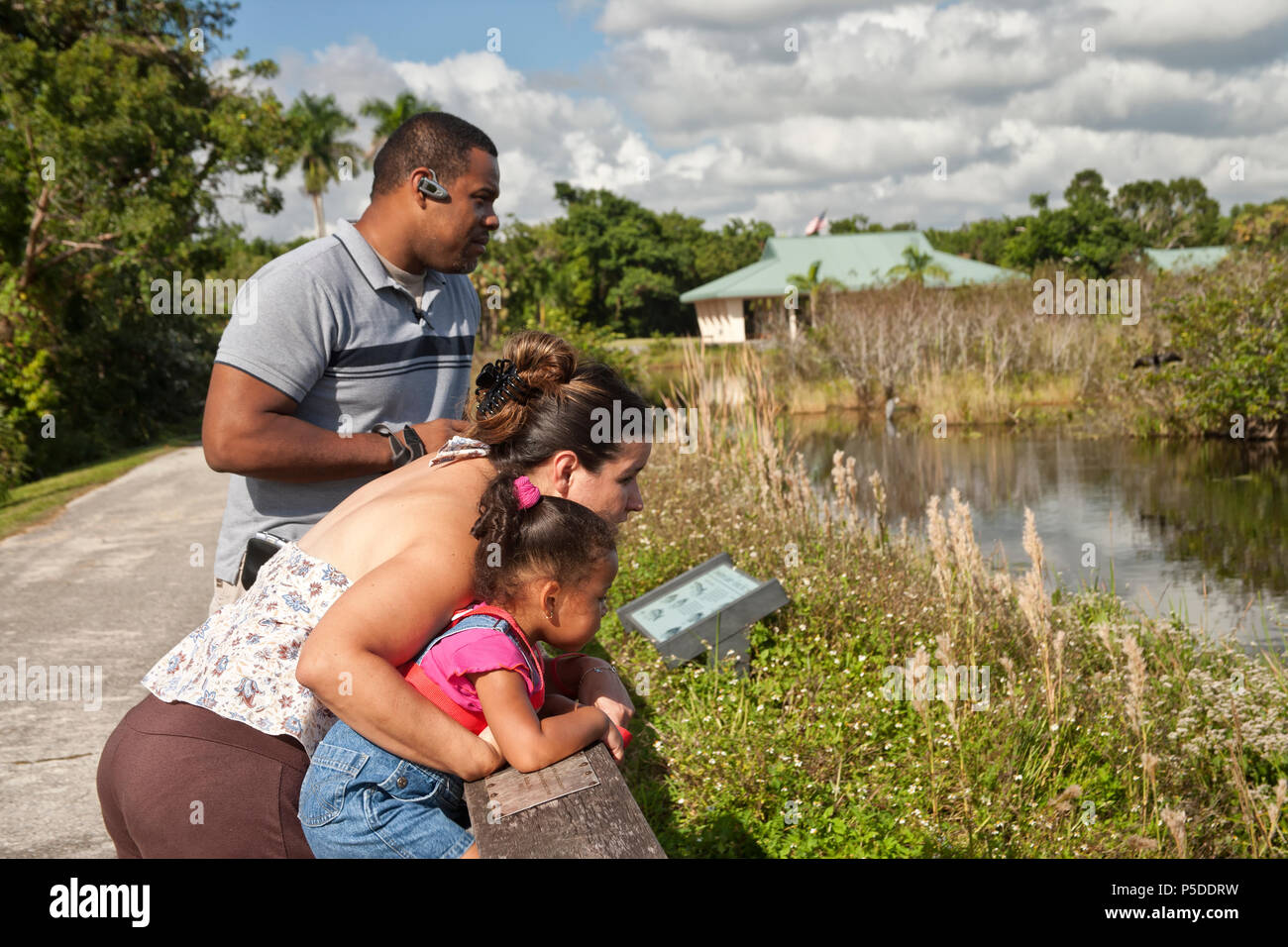 Famiglia giovane, African American padre, caucasiche madre con bambino, la visualizzazione di fauna selvatica, Boardwalk, Everglades National Park. Foto Stock