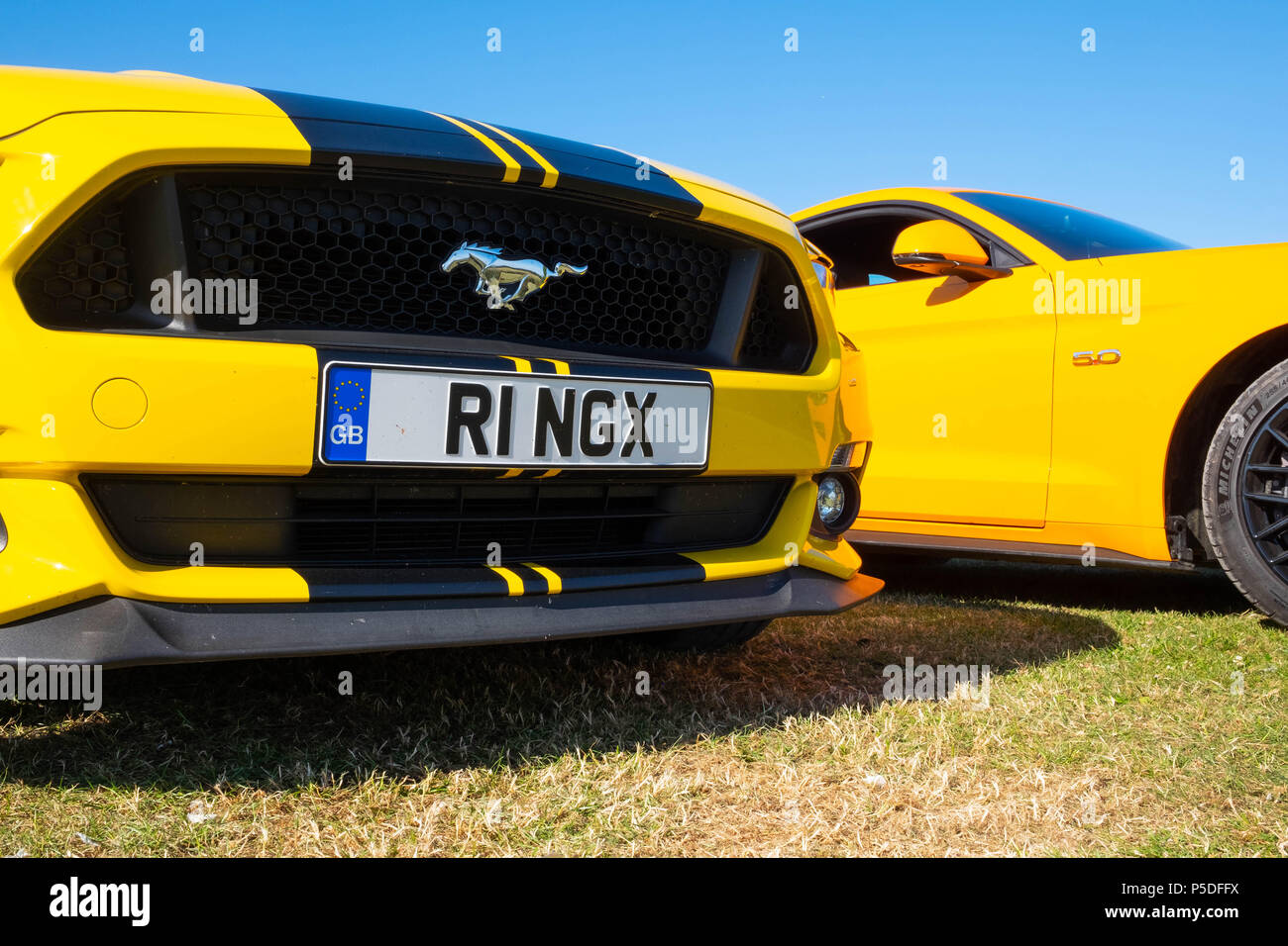 2 cool auto veloci, 2 European guida a destra Ford Mustang 5 litri V8 GT Fastback Auto auto Foto Stock