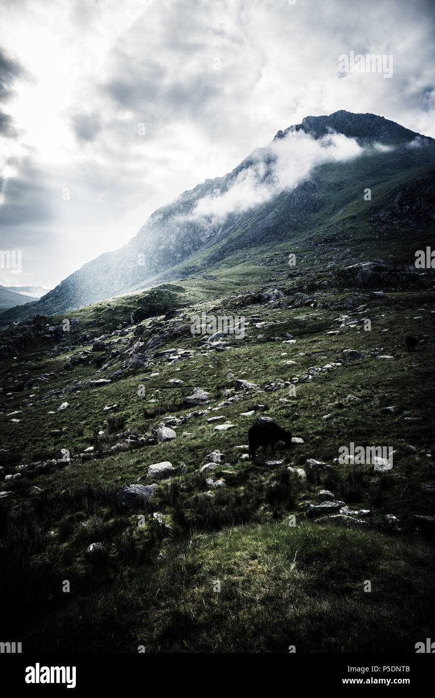 Montagne di Snowdonia durante una mattina di drammatiche previsioni Foto Stock