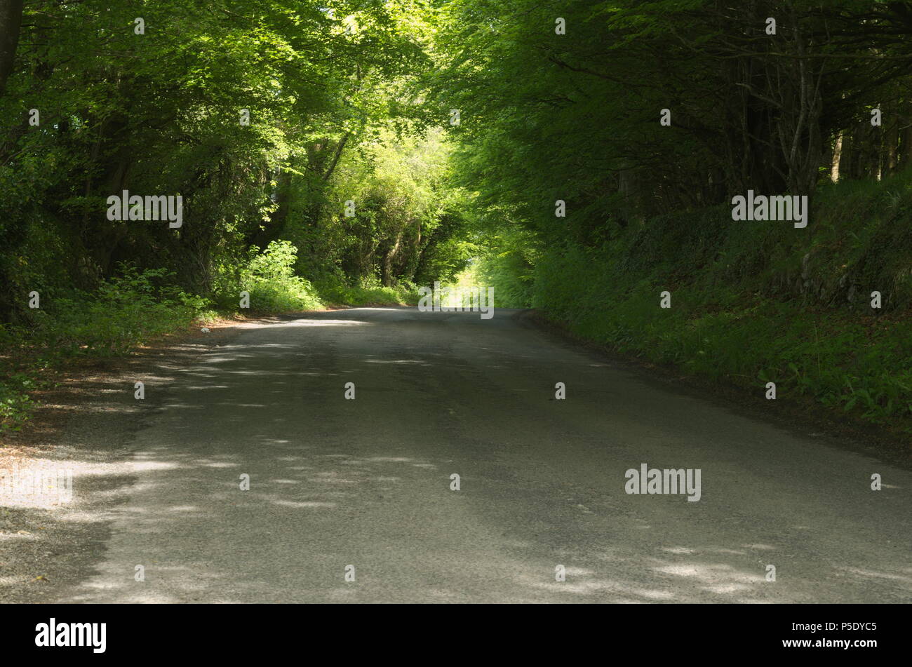 Sun pezzata road a Galway, Irlanda Foto Stock