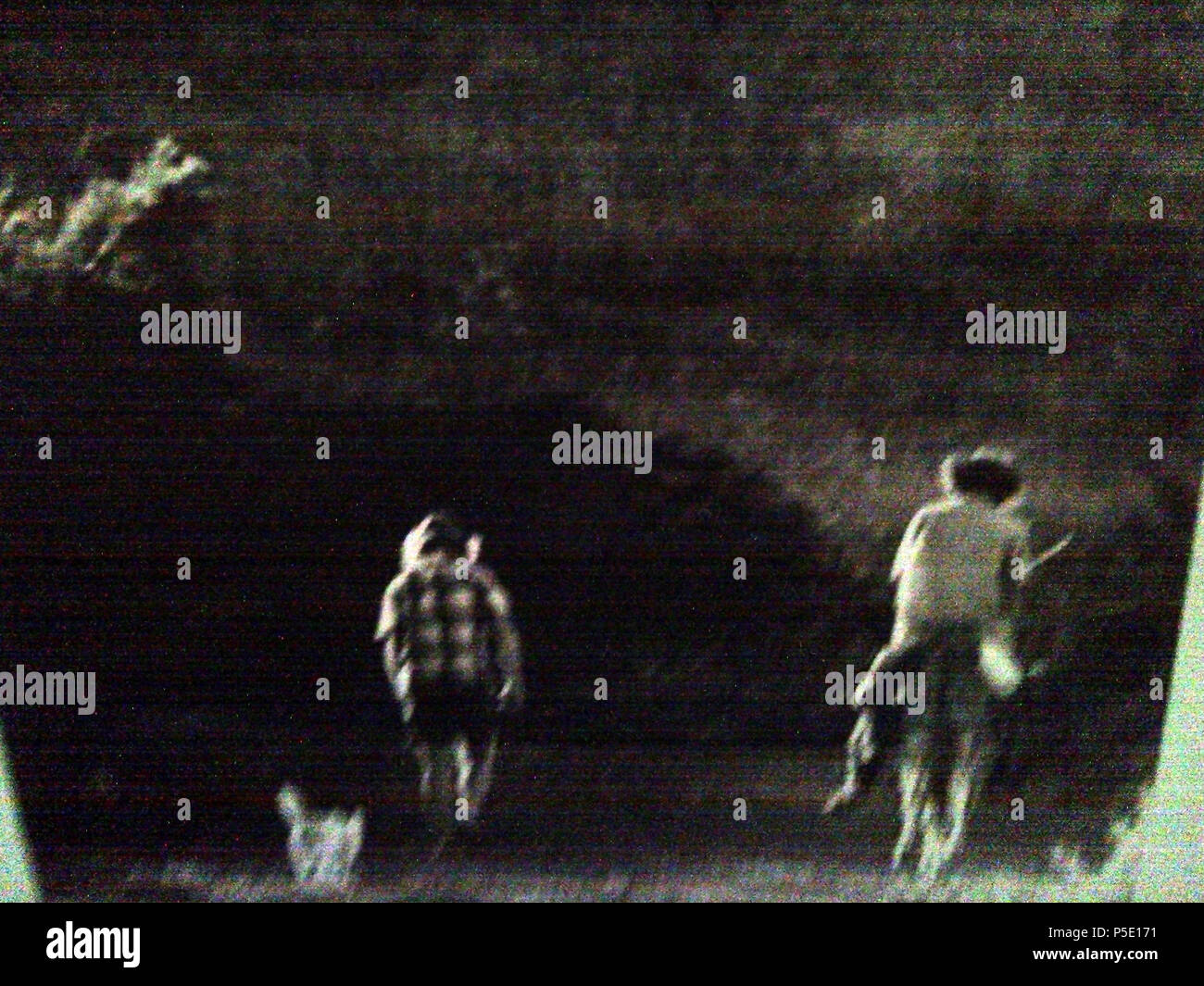 382 Corvo, início do Séc, XX, trabalho, Arquivo de Villa Maria, Angra do Heroísmo, Ilha Terceira, Açores Foto Stock