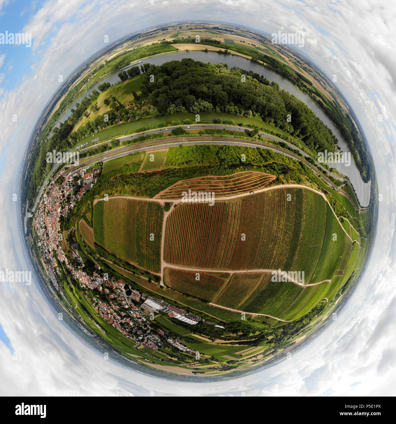 Full Circle-Panorama Luftbild: Weinberge und der Rhein bei Nackenheim/ full circle panoramica vista aerea: vienyards e Fiume Reno vicino Nackenheimhe Foto Stock