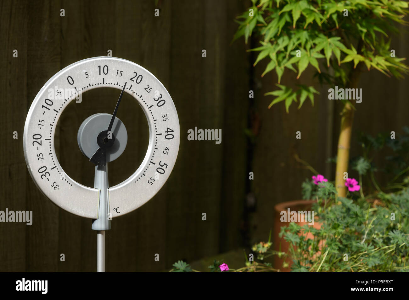 Termometro circolare mostra una temperatura calda durante un soleggiato e soleggiata giornata estiva in un giardino inglese. Foto Stock