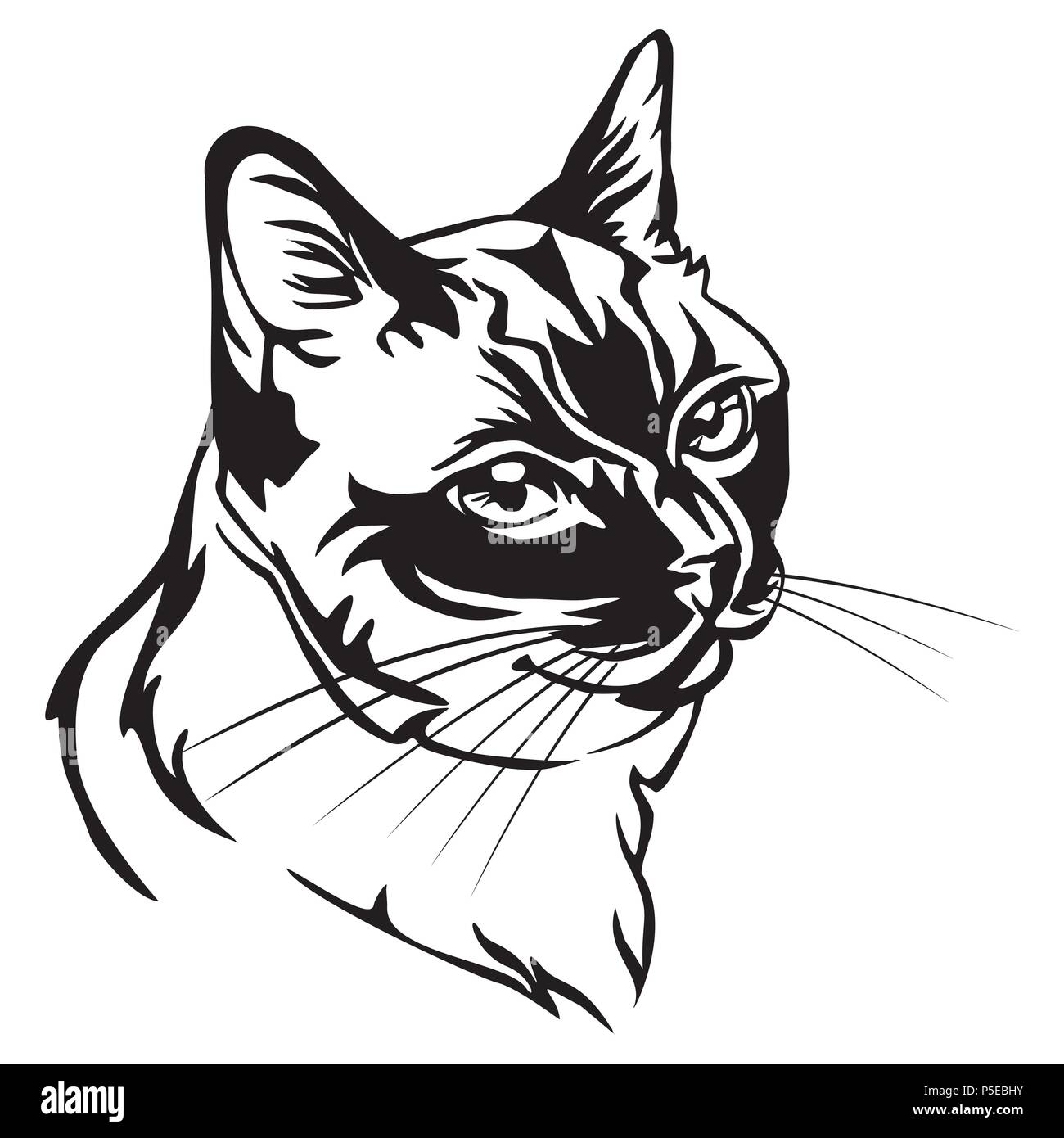 Ritratto decorativo in profilo di Thai Cat, vettore isolato illustrazione in colore nero su sfondo bianco Illustrazione Vettoriale
