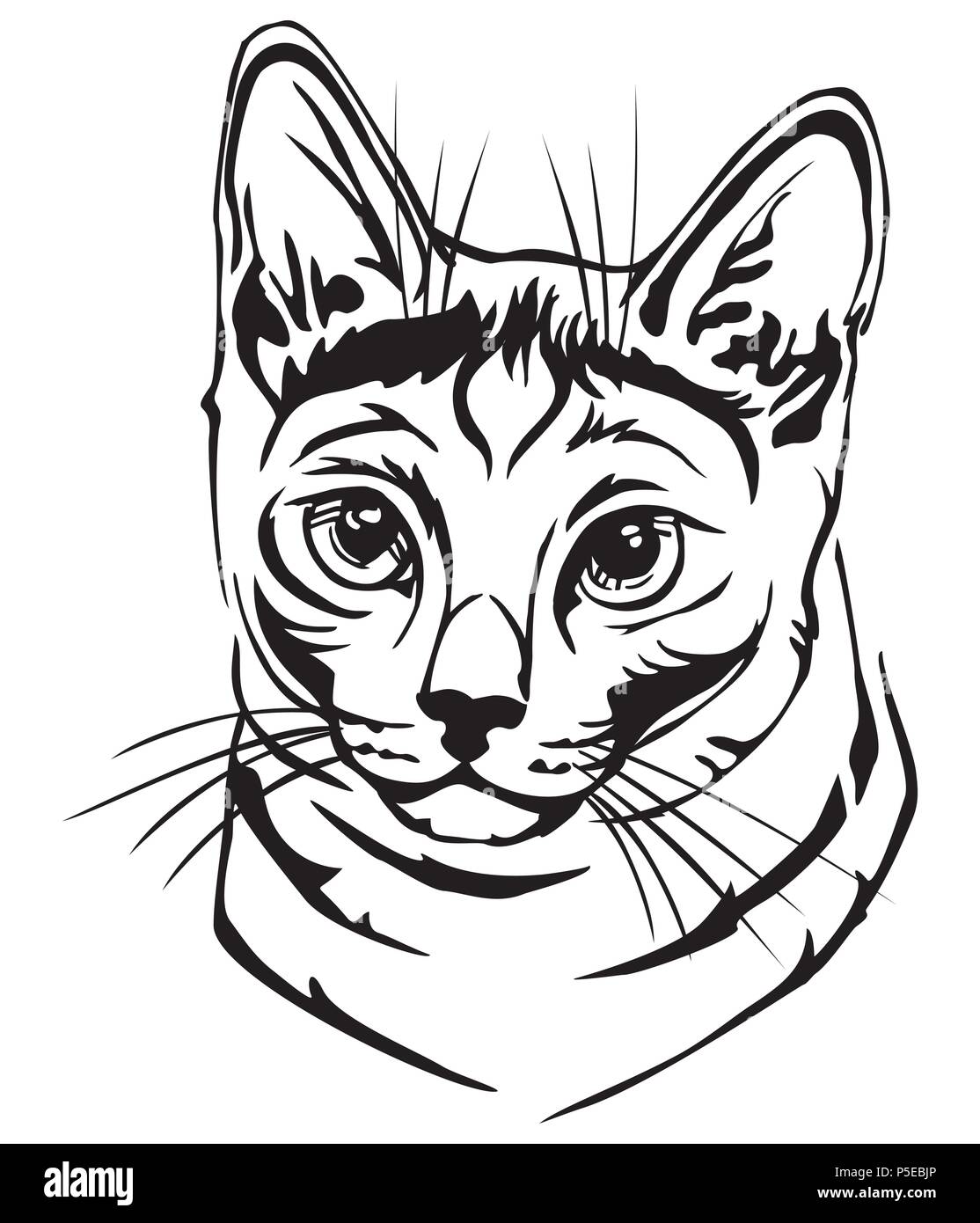 Ritratto decorativo in profilo di russo gatto blu, vettore isolato illustrazione in colore nero su sfondo bianco Illustrazione Vettoriale