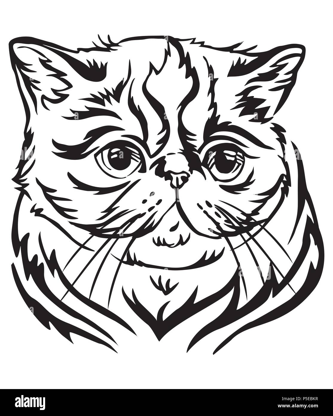 Ritratto decorativo in profilo di Exotic Shorthair Cat, vettore isolato illustrazione in colore nero su sfondo bianco Illustrazione Vettoriale